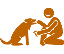 Person training a dog to shake hands.